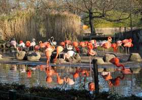 Tierpark Dresden