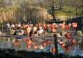 Tierpark Dresden