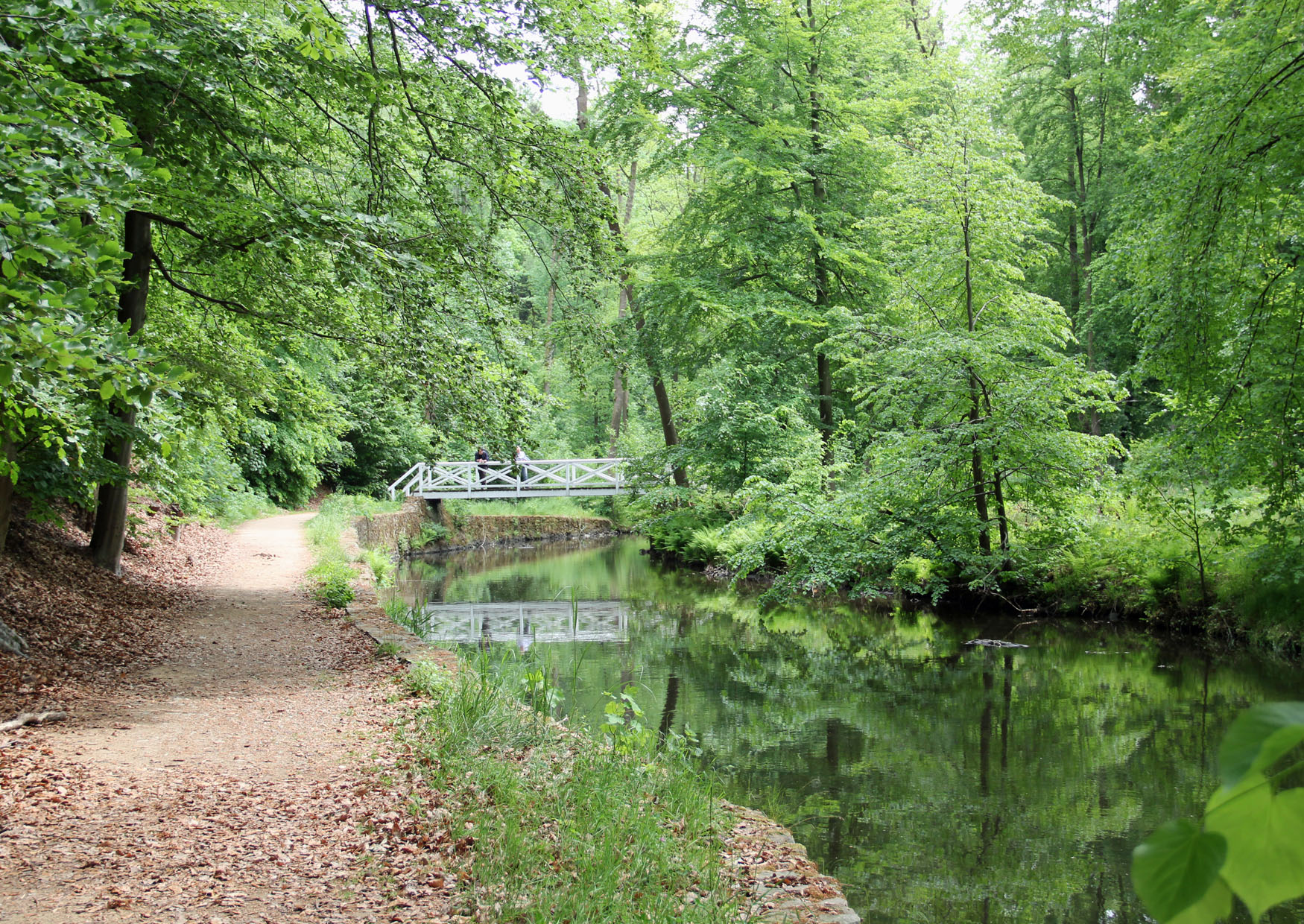 Wanderung entlang der Großen Röder bei Seifersdorf Laurabrücke