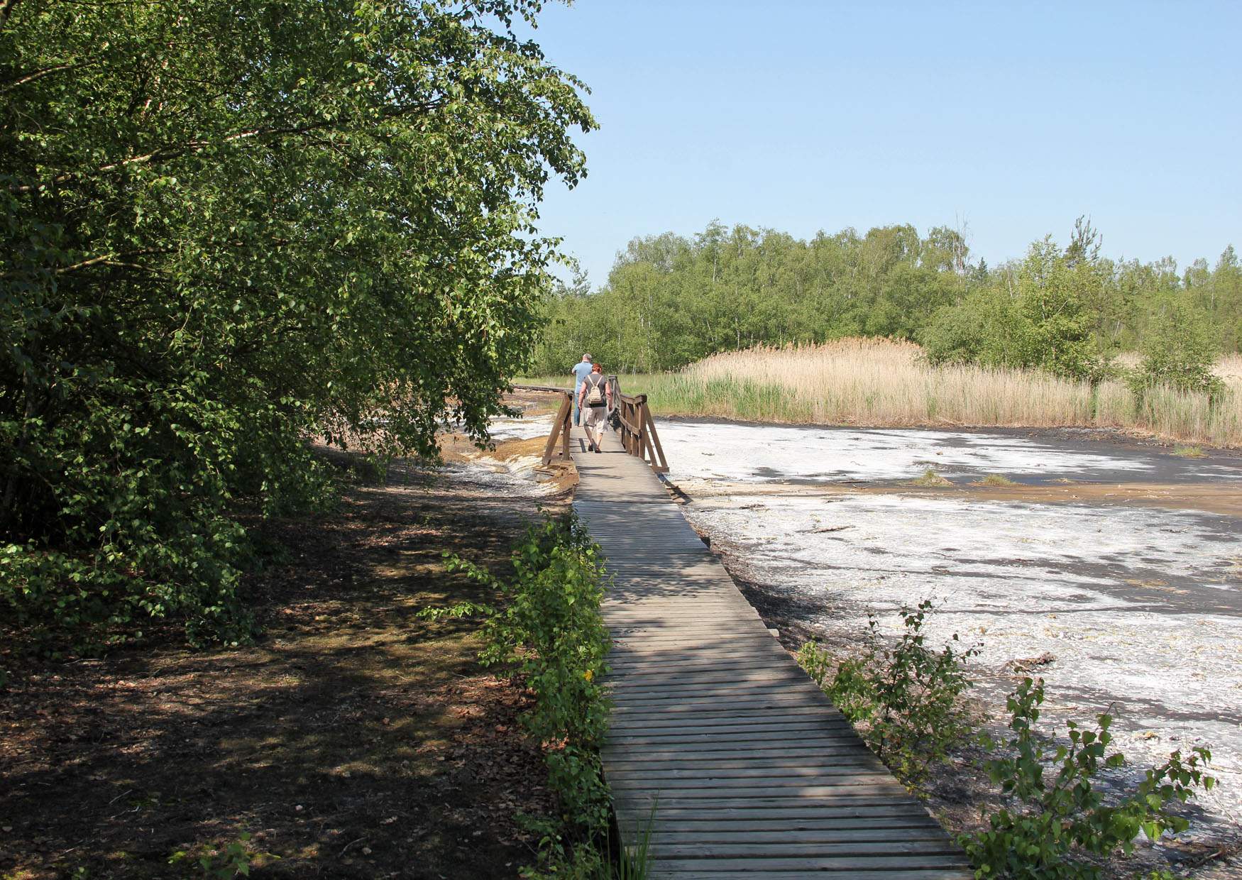 Ausflug Moor Tschechien Soos