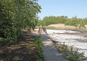 Soos Moor Tschechien Eger Becken