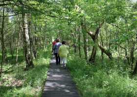 Tagesausflug Nationales Naturreservat Soos