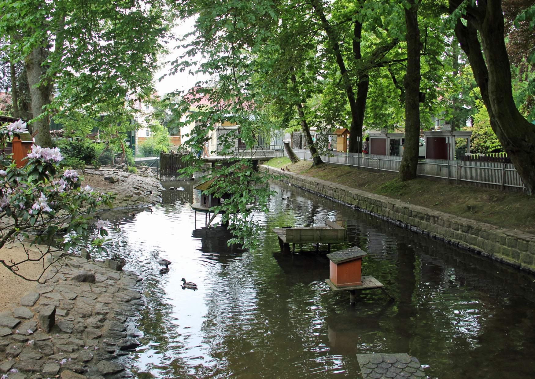 Besuch Zoo Bischofswerda