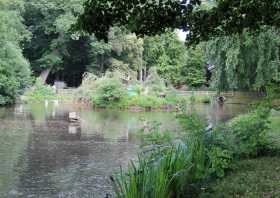 Schwanenteich Sehenswürdigkeit Tierpark Geithain