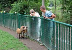 Sehenswürdigkeit Zoo Altenburg