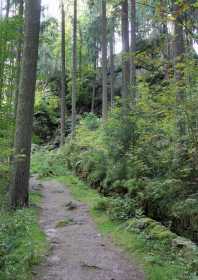 Wanderweg Blauenthaler Wasserfall