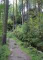 Wanderweg Blauenthaler Wasserfall