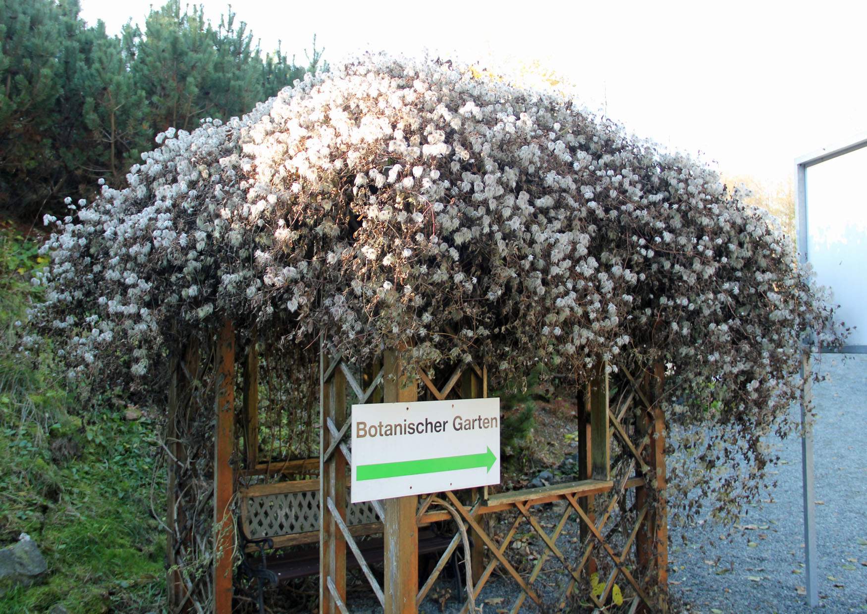 Ausflugsziel Botanischer Garten Adorf Vogtland