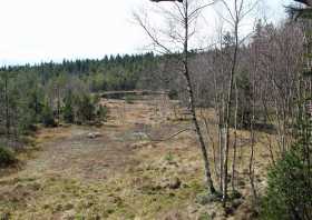 Hormersdorfer Hochmoor Ausflugsziel Wanderziel Geyerscher Teich