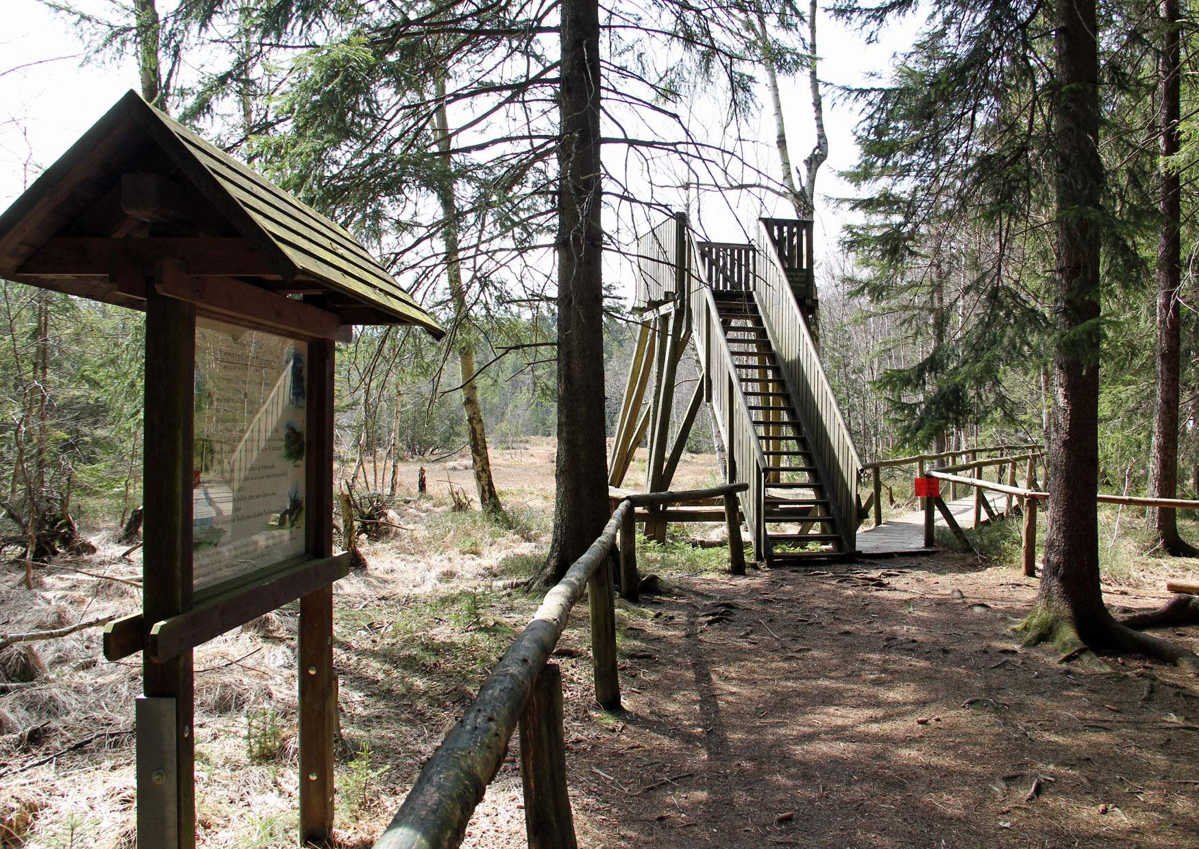 Beobachtungspunkt am Hormersdorfer Hochmoor