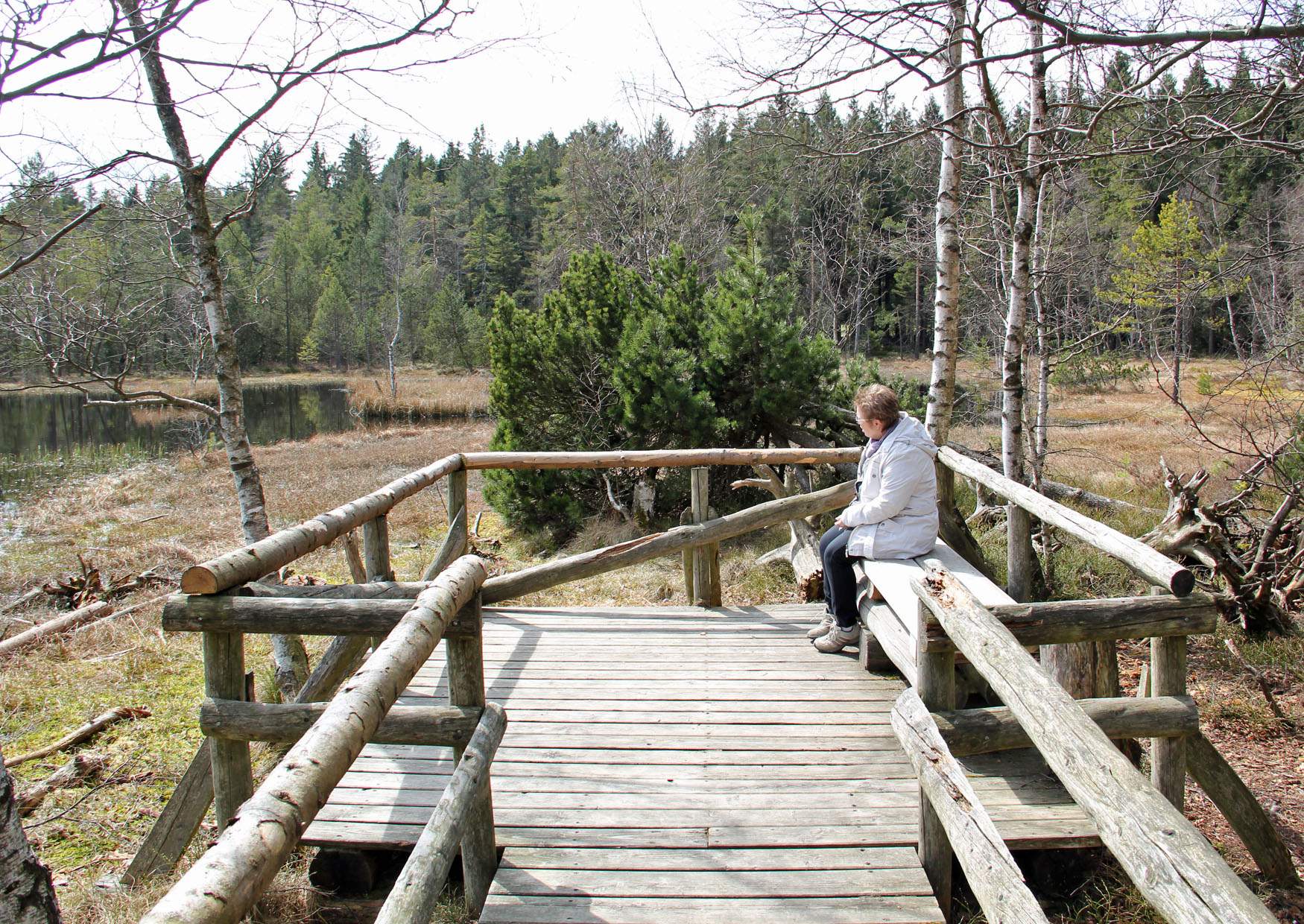 Ausflug Wanderung Hormersdorfer Hochmoor