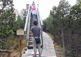 Moorlehrpfad Georgenfelder Hochmoor