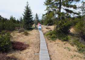 Ausflugsziel Georgenfelder Hochmoor Zinnwald Altenberg Erzgebirge