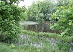 Naturpark Schlosspark Naunhof