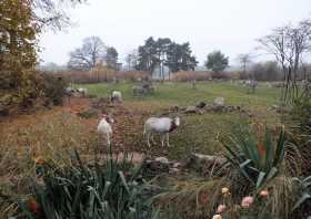 Kiwara-Savanne Tiergarten Leipzig