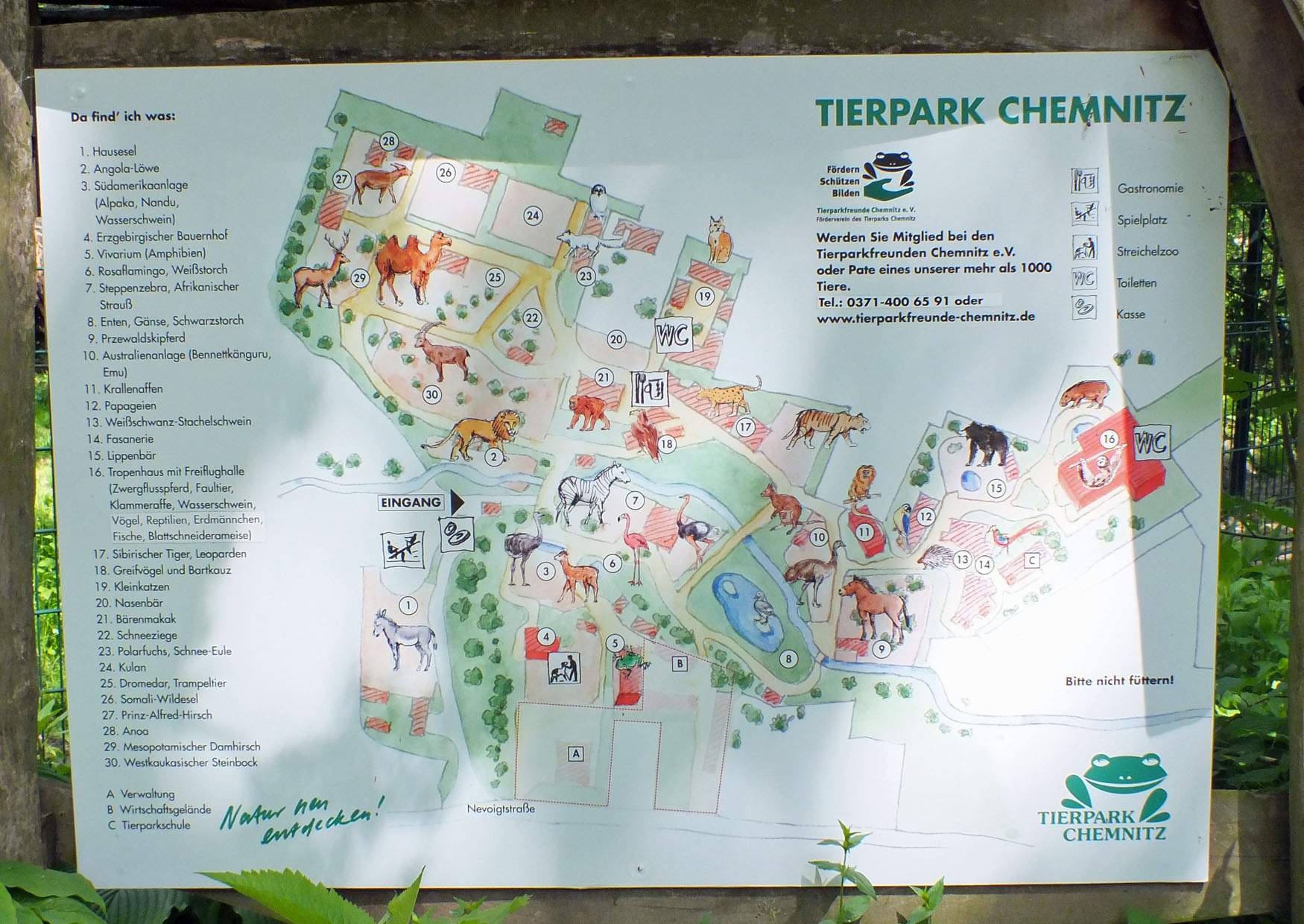 Plan Tierpark Chemnitz