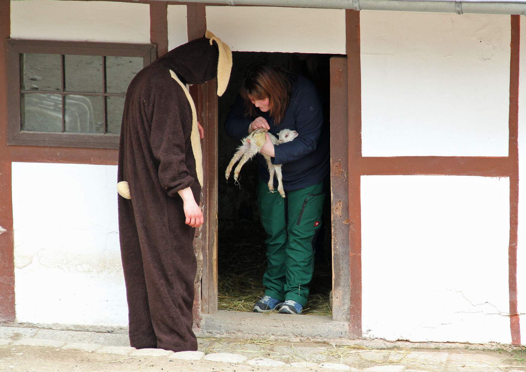 Veranstaltung Zoo der Minis Aue