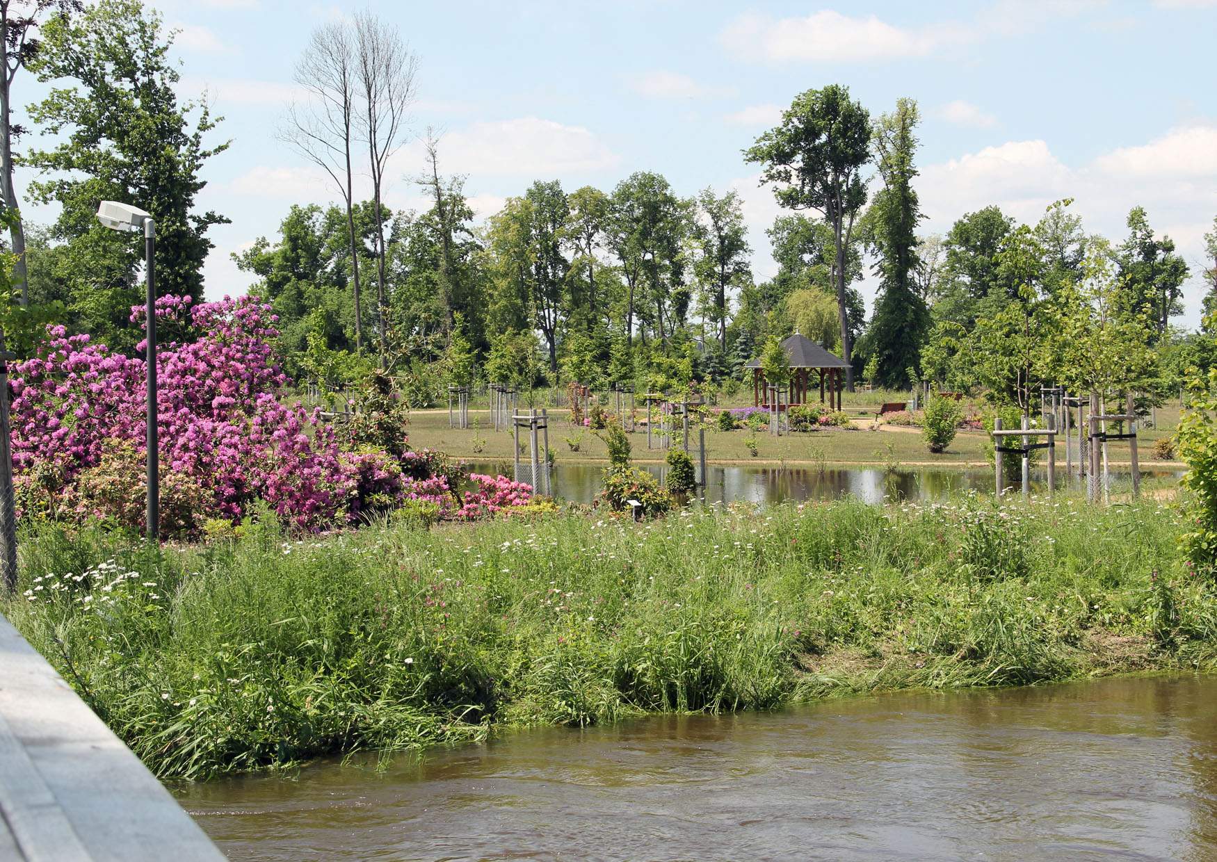 Hochwasser Landschaftspark Walda