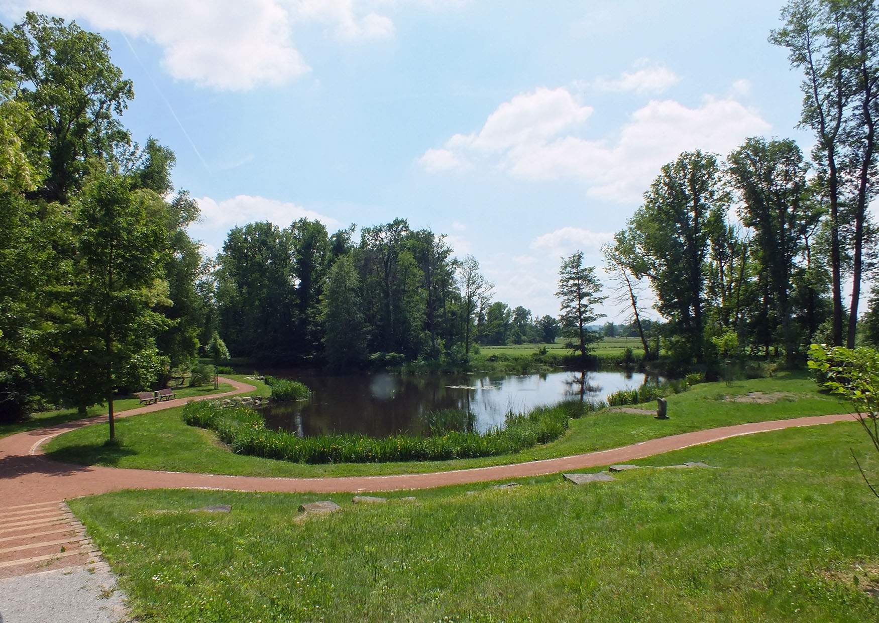 Teich Stadtpark Großenhain