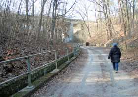 Nesselgrund Wanderung Dresdner Heide