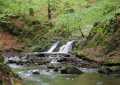 Prießnitz Wasserfall Dresdner Heide