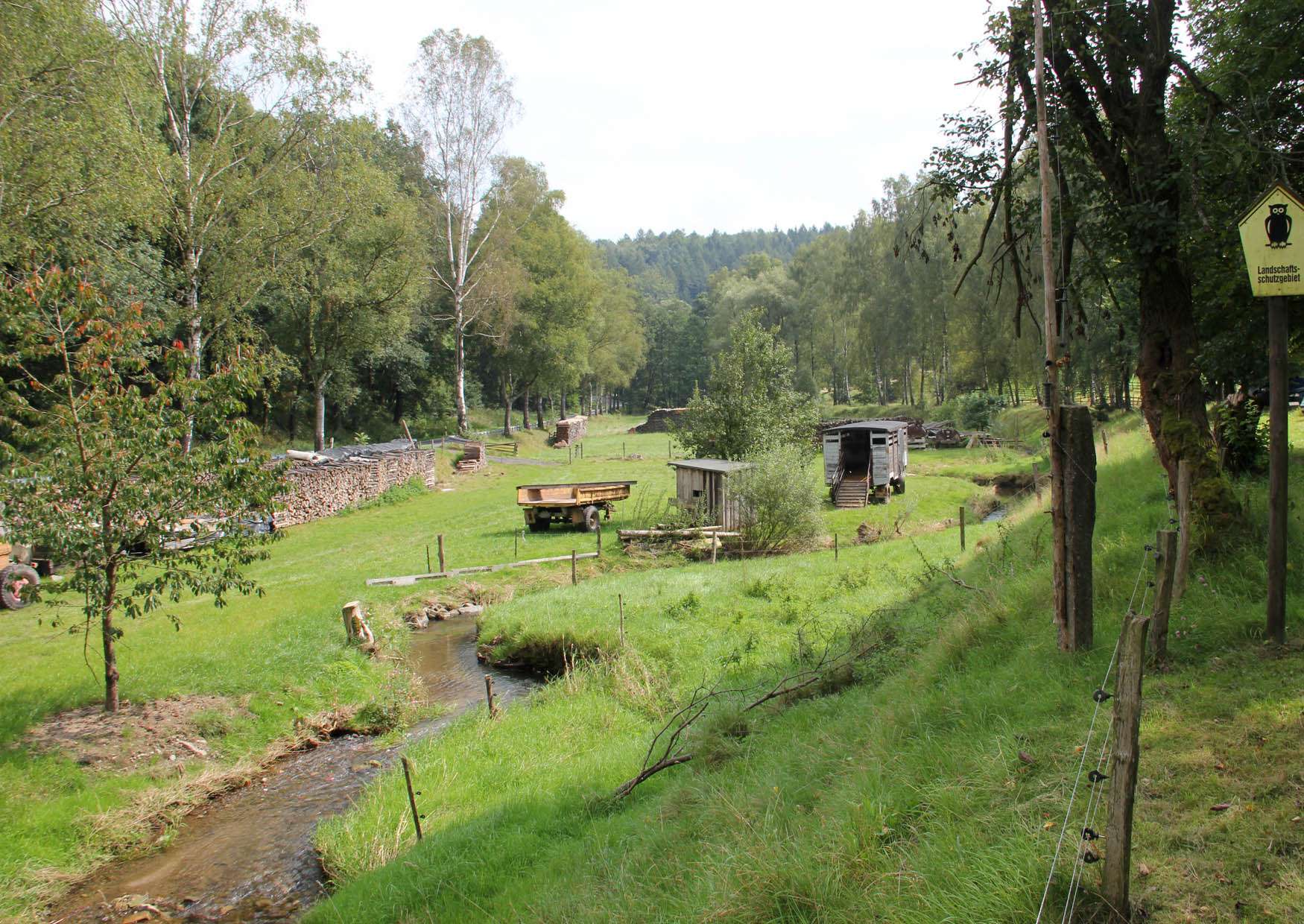 Der Schwarzbach in Lohsdorf